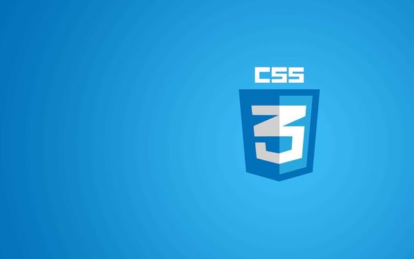 什么是 CSS？